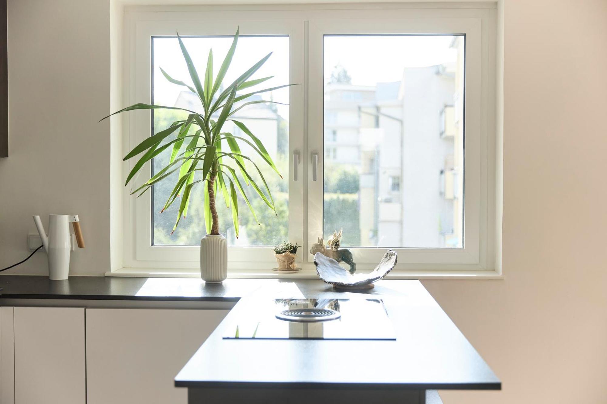 Helle Wohnung In Top Lage! Linz Exterior foto